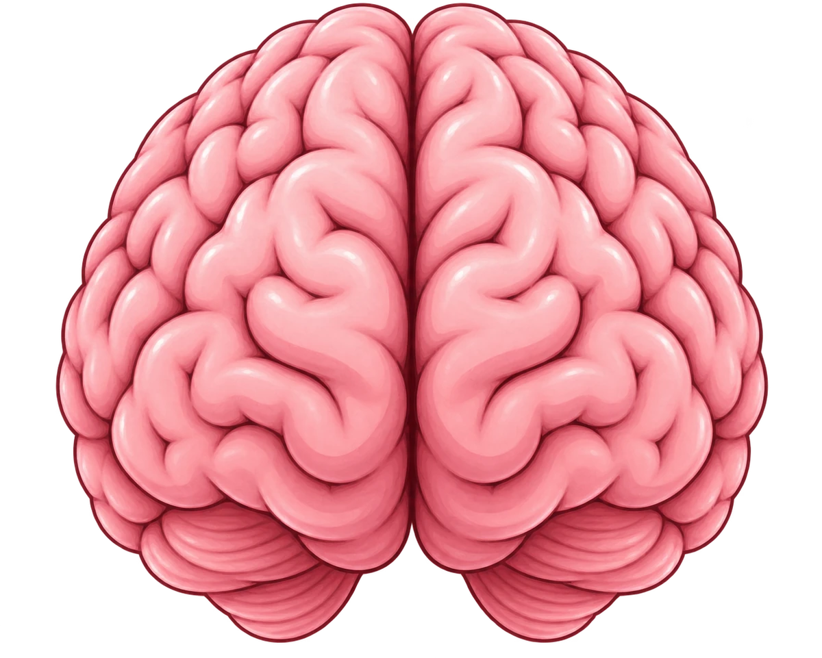 Ilustración de un cerebro, representando las ideas y necesidades con las que llegan nuestros clientes